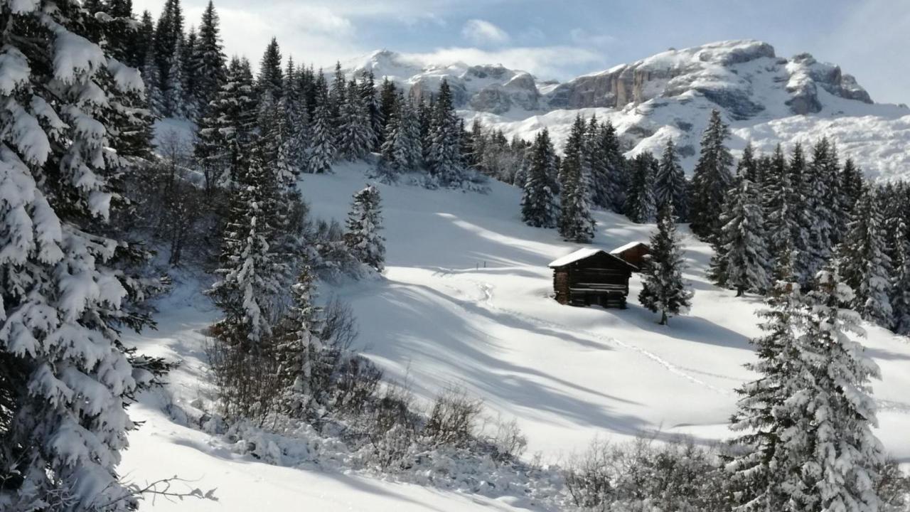 App Lisuera Cir Lägenhet Corvara Exteriör bild